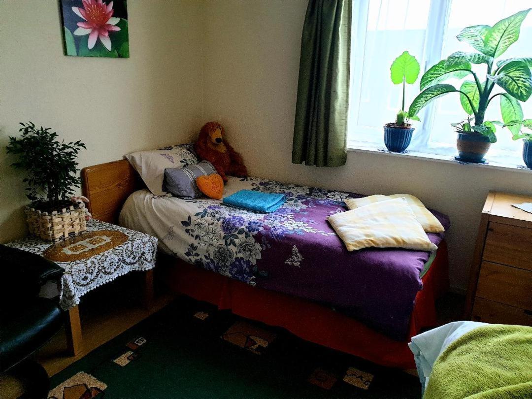 Private In Shared House-n 1 *